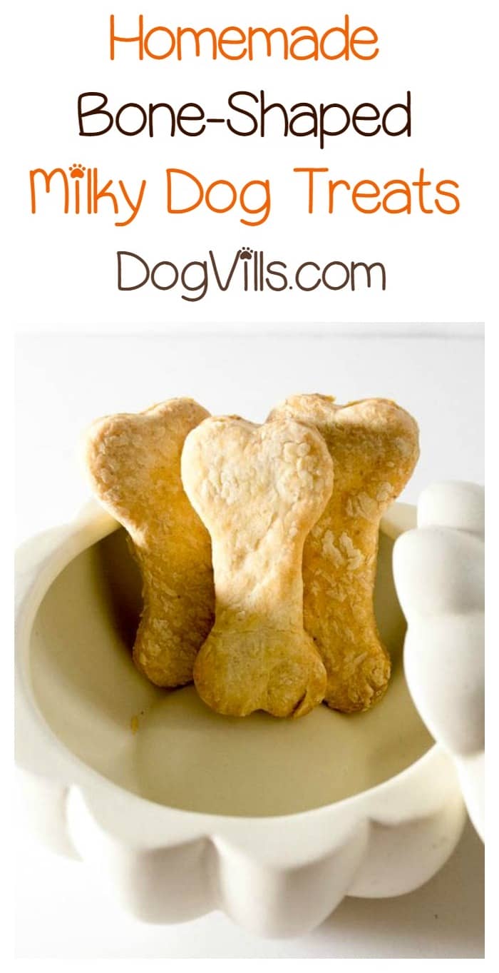 easy homemade dog biscuits