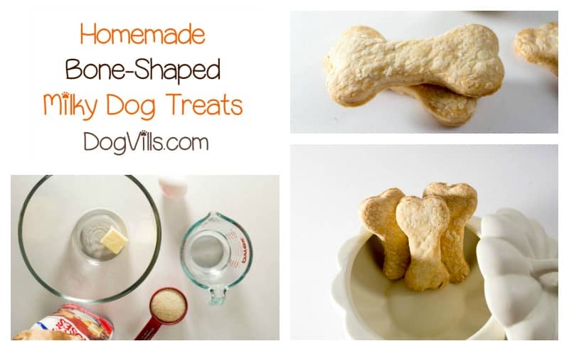 Best Soft Dog Treats Pinterest Best Soft Dog Treats Pinterest