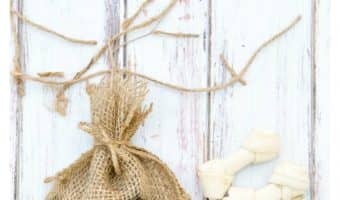 This homemade dog treats bag is such a clever gift idea for all the pet lovers in your life! Super easy to make too! Check it out!