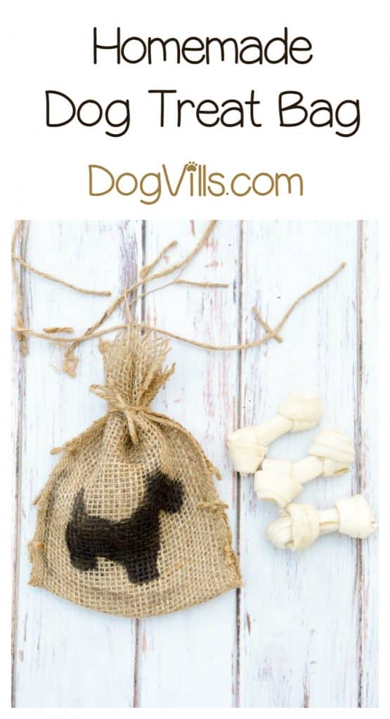 Homemade Dog Treat Bag Craft DogVills