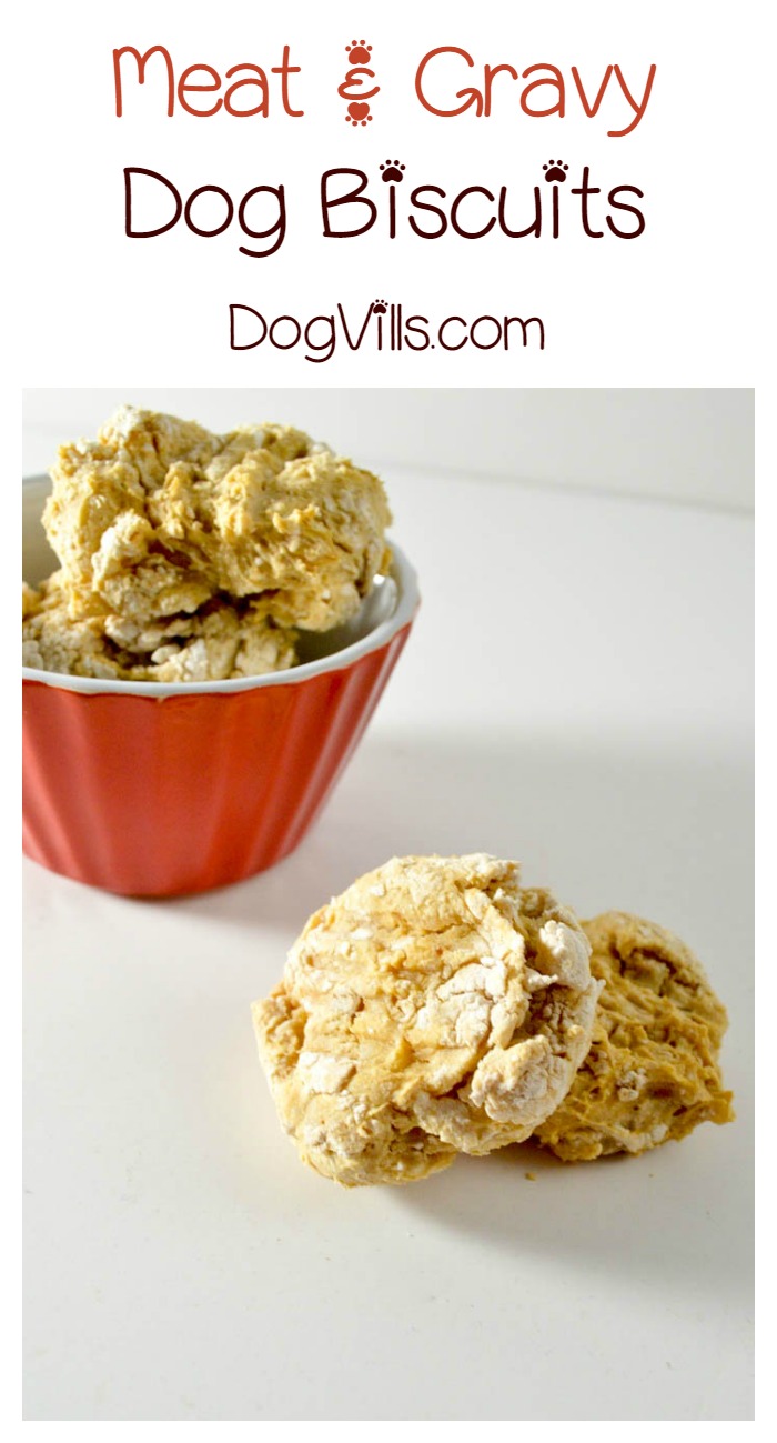 Easy Homemade Dog Biscuit Recipe With Baby Food