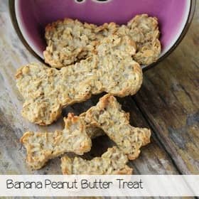 Dog Food Videos: Peanut Butter Treat