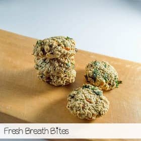 freshbreath-biscuit-sa