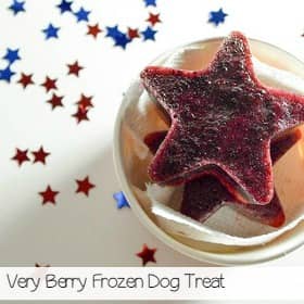 strawberry-blueberry-frozen-dog-treat-sa