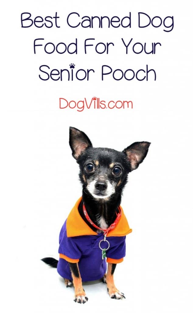 senior canned dog food