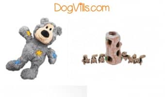 Treat Fido to one of the best dog toys of 2016 this Christmas season! Check out our picks for toys your pooch will love! They are awesome gift ideas this holiday season.