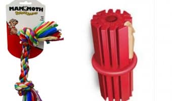 Having a hard time keeping up with your pup's dental hygiene? Check out our picks for the best dog toys for cleaning teeth!