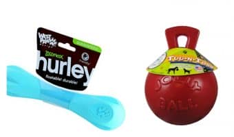 Looking for the best dog toys for big dogs? Check out our picks for 5 great toys that won't fall apart the moment Fido's teeth touches them!