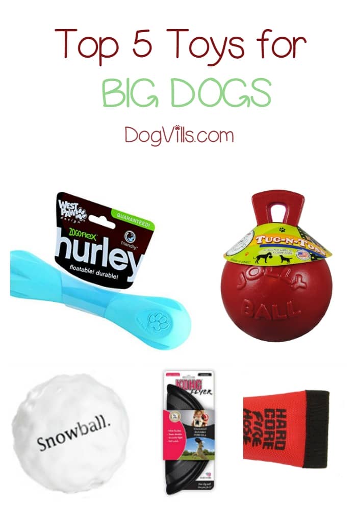 Top 5 Picks for the Best Dog Toys for Big Dogs DogVills