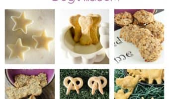 Love making treats & other goodies for your pooch? Check out our collection of dog food videos, recipes & treat tutorials that Fido will adore!