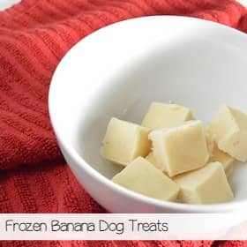 dogbiscuits1-sa