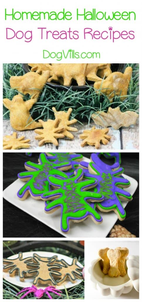 These homemade Halloween dog treats are the perfect reward for Fido's most brilliant tricks! Check them out! 