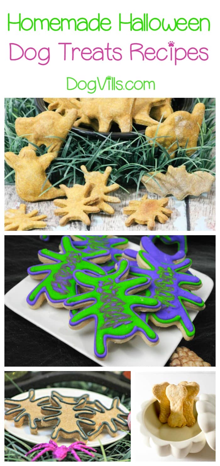 Reward Fido's Tricks with Our Cute Spider Halloween Dog Treats! DogVills