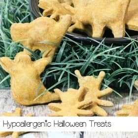 halloween-dog-treats-sa