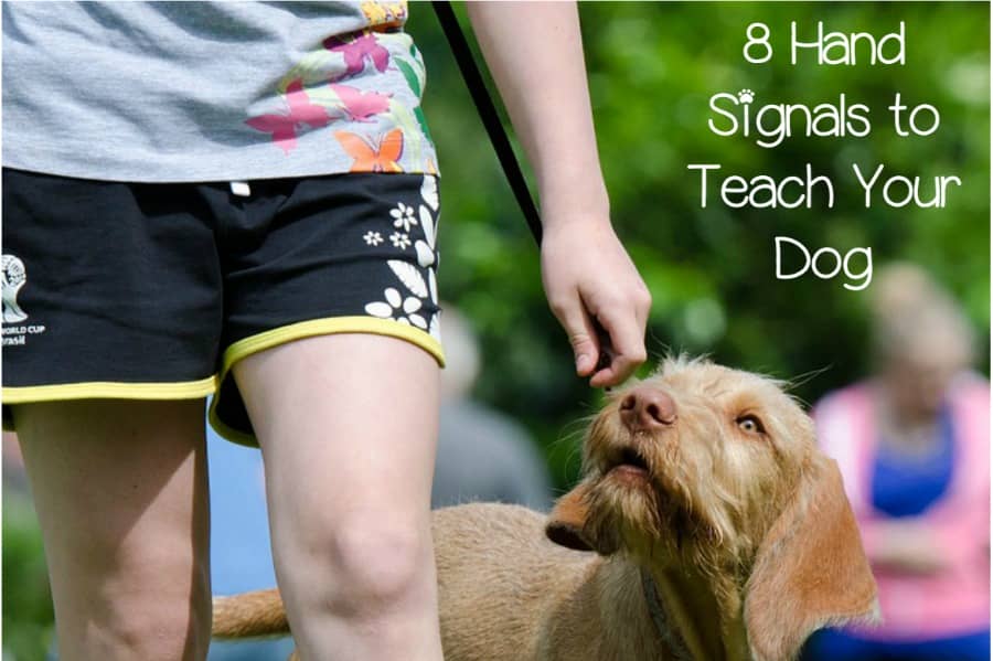 dog obedience hand signals chart