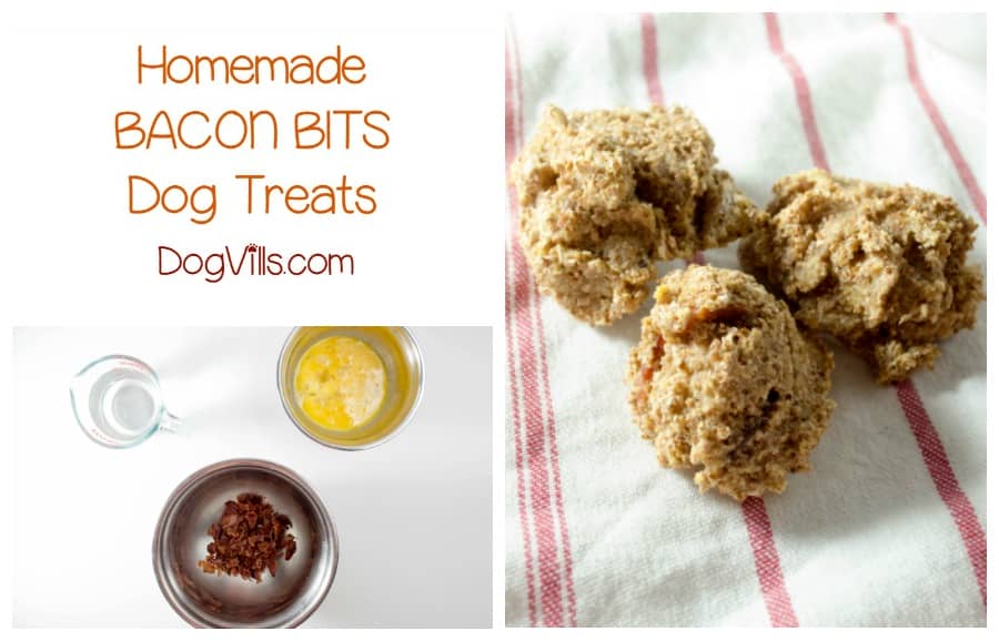 Bacon Bits Dog Treats Recipe Bacon Bits Dog Treats Recipe