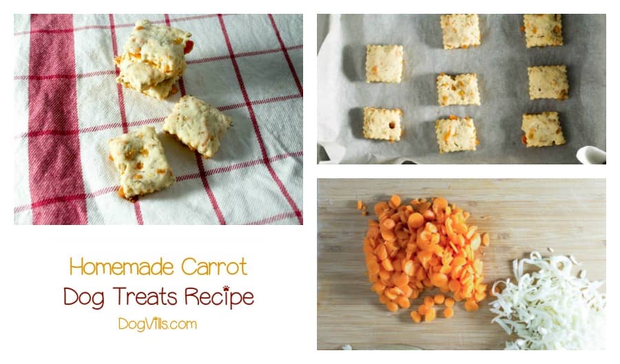 Easy Homemade Carrot Dog Treats Recipe DogVills