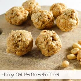 no-bake-peanut-butter-dog-treat-recipe-sa