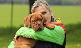 Learning how to train your dog to give a hug is easier than you might think! Check out our dog training tips + things to consider before teaching your dog to hug!