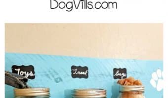 Keep all of your pup's essentials organized in style with this easy DIY mason jar dog treat organizer! Check out the video tutorial too!