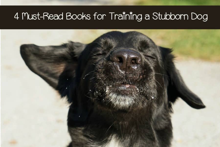 4 Books About Training Challenging Dogs DogVills 4 books about training challenging dogs dogvills