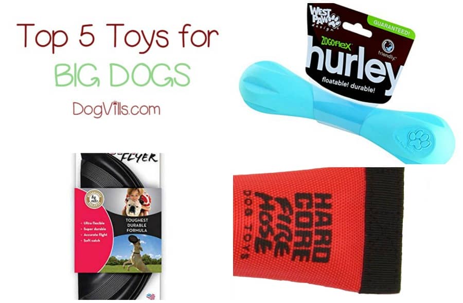 Top 5 Picks for the Best Dog Toys for Big Dogs DogVills