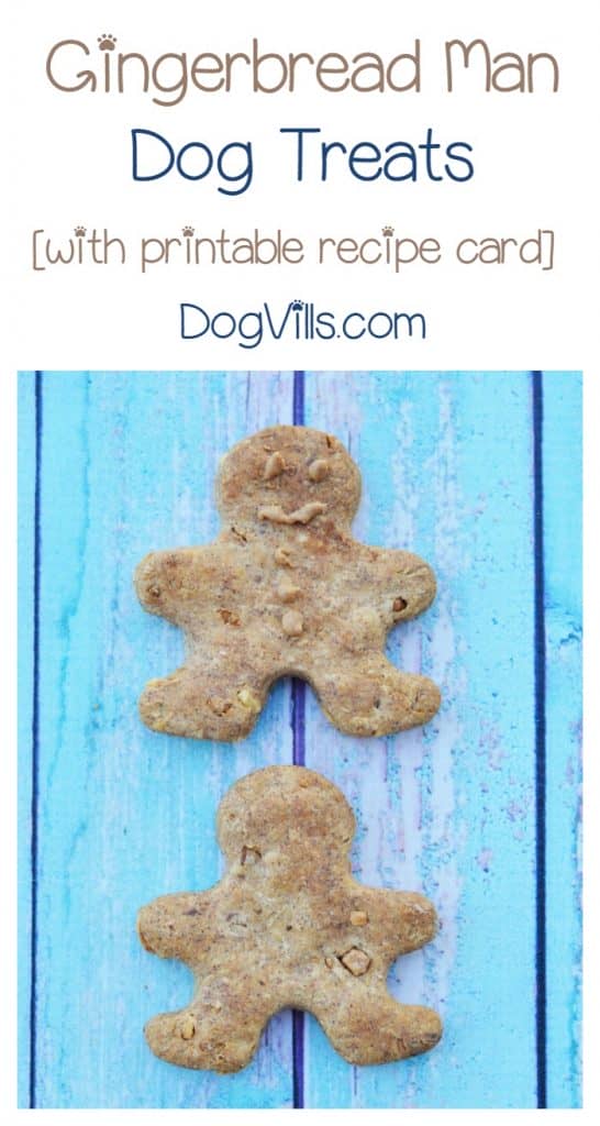 Homemade Gingerbread Man Dog Treats Recipe DogVills