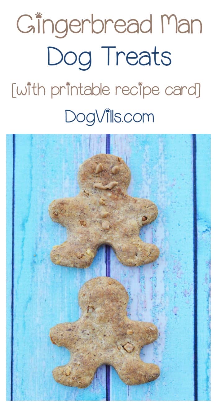 Homemade Gingerbread Man Dog Treats Recipe DogVills