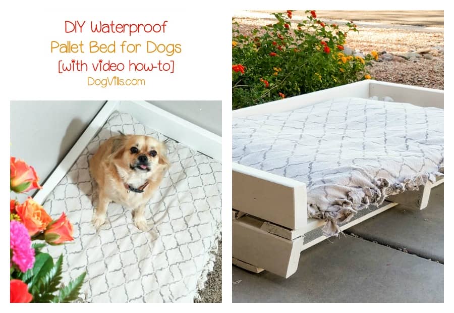 Homemade Dog Bed Project Diy Waterproof Pallet