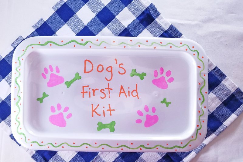 Want to make a DIY first aid kit for your dog? It's easier than you think! Check out our tutorial!