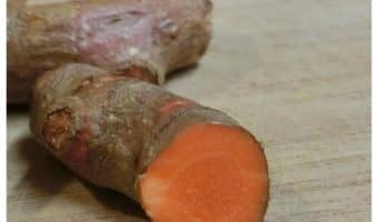 Can I give turmeric to my dog? Turmeric for dogs has been shown to have many health benefits. Find out how to safely use it with your pooch!.