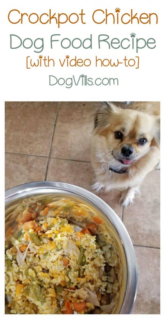 Easy Crockpot Chicken Homemade Dog Food Recipe With Video