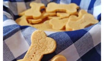 Looking for an easy homemade dog treat that will help Fido keep his resolutions to get in shape? Try out Low Fat Veggie Treats recipe!
