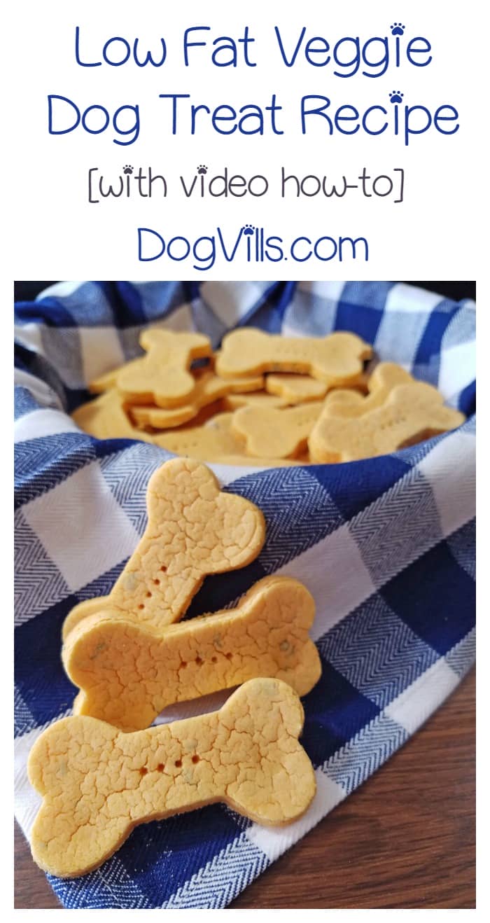 Low Fat Veggie Treats Recipe For Dogs With Video Tutorial Dogvills