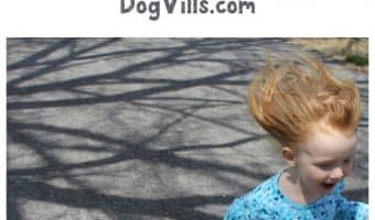 Get ready for some of the funniest talking dog and baby videos! Seriously, is there anything cuter? Check out our favorites!