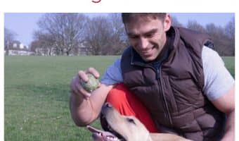 Looking for dog training tips that are actually fun to implement and help you bond with Fido? Try these five fun games for dogs!