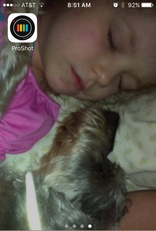 Looking for some super cute & funny dog pictures? Check out these sweet moments that capture 14 times that dogs were family!