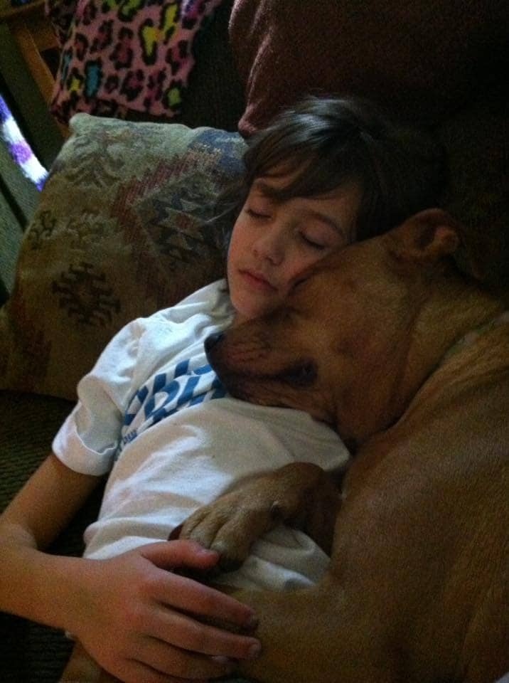 Looking for some super cute & funny dog pictures? Check out these sweet moments that capture 14 times that dogs were family!