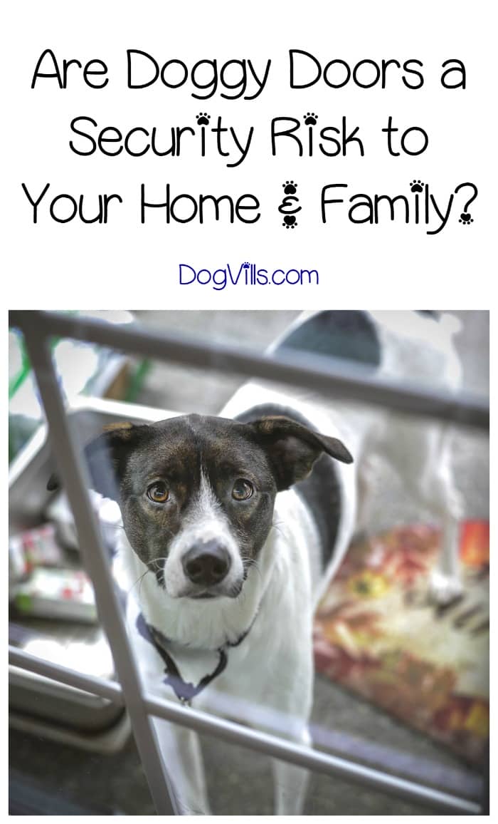 Are Doggy Doors a Security Risk to Your Family? DogVills
