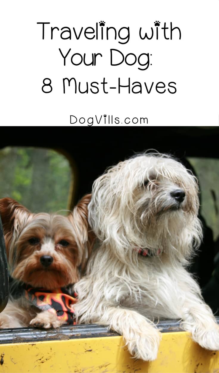 Traveling with your dog- 8 Must-Haves