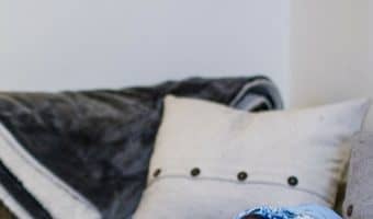 Want to know how to make a dog feel more secure at home? Check out our pet health and training tips!