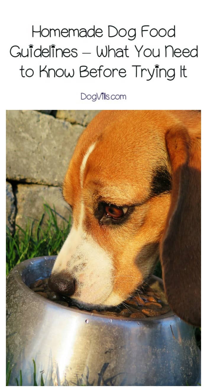homemade-dog-food-guidelines-3-things-you-need-to-know-before-trying