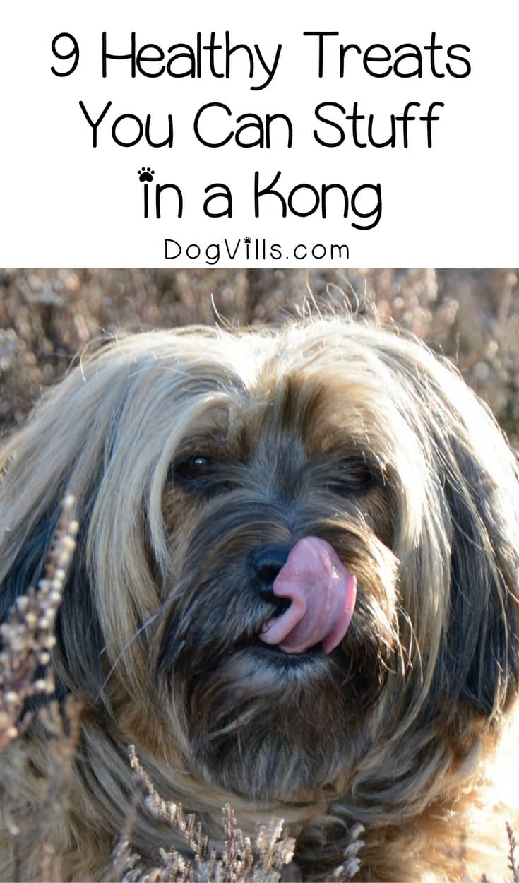 9 Healthy Treats You Can Stuff in a Kong