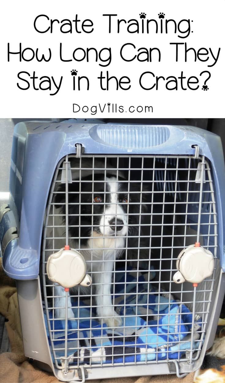 how many hours a day should a dog be crated