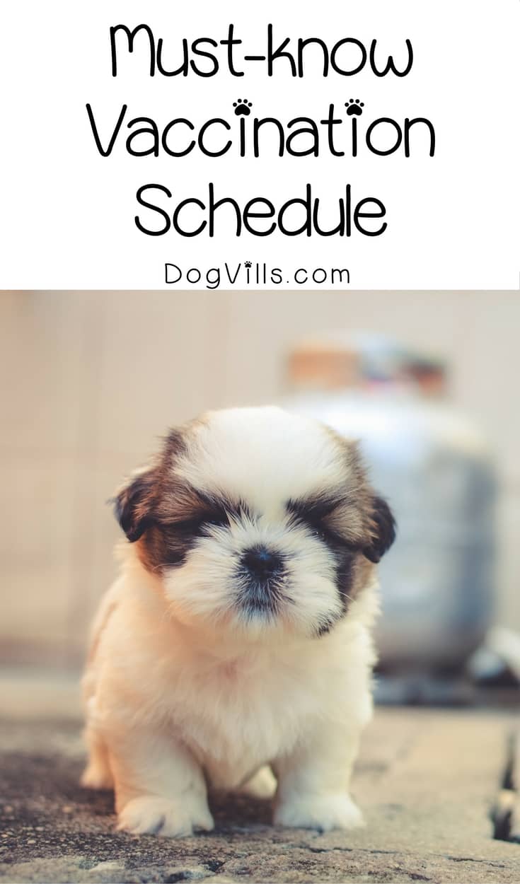 Must-know vaccination schedule