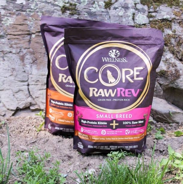 How to Unleash Your Dog's Raw Energy with Wellness® CORE™ RawRev