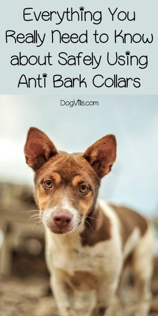 Anti-bark collars come in three varieties - shock, ultrasonic, and citronella. Find out if, when and how you should use these types of collars!