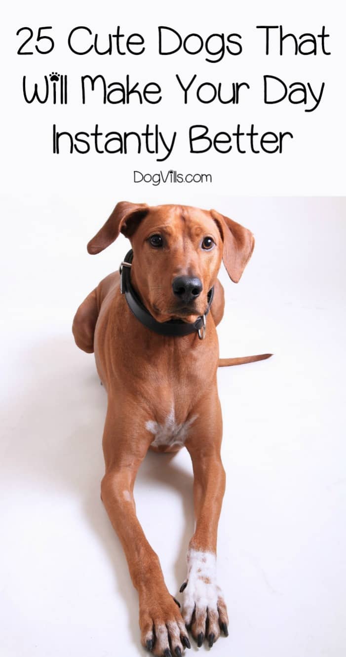 7 days to better ears 7 days to better ears