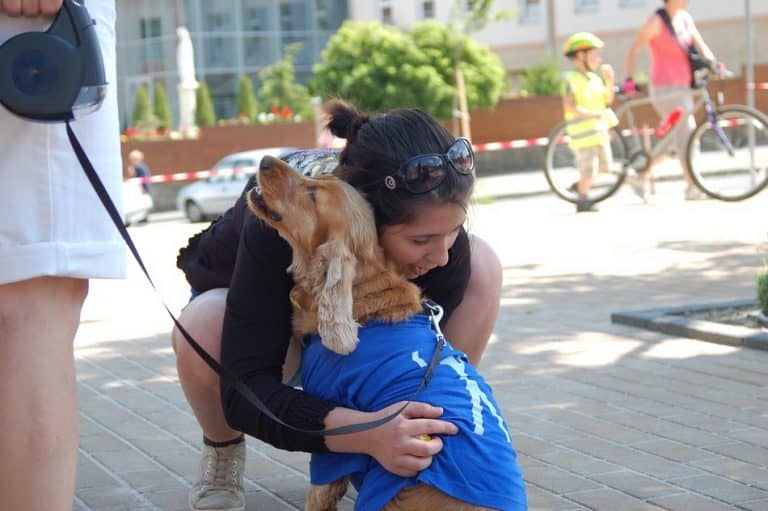 Dog Behavior Explained Do Dogs Like Hugs? DogVills
