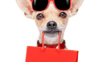 Can you take your dog to the mall? If you live near one of these 39 pet-friendly shopping malls, you sure can! Check them out!